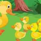 Five Little Ducks