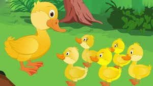Five Little Ducks