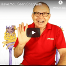 Have You Seen Spaghetti