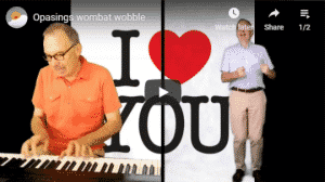 OpaSings Wombat Wobble