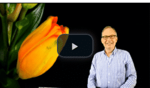 OpaSings All You need is Love