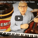 Home Among the Gum Trees