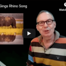 The Rhino Song
